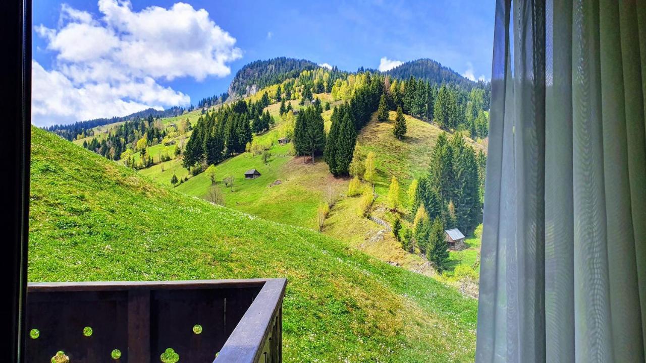 Lodge Carpatica