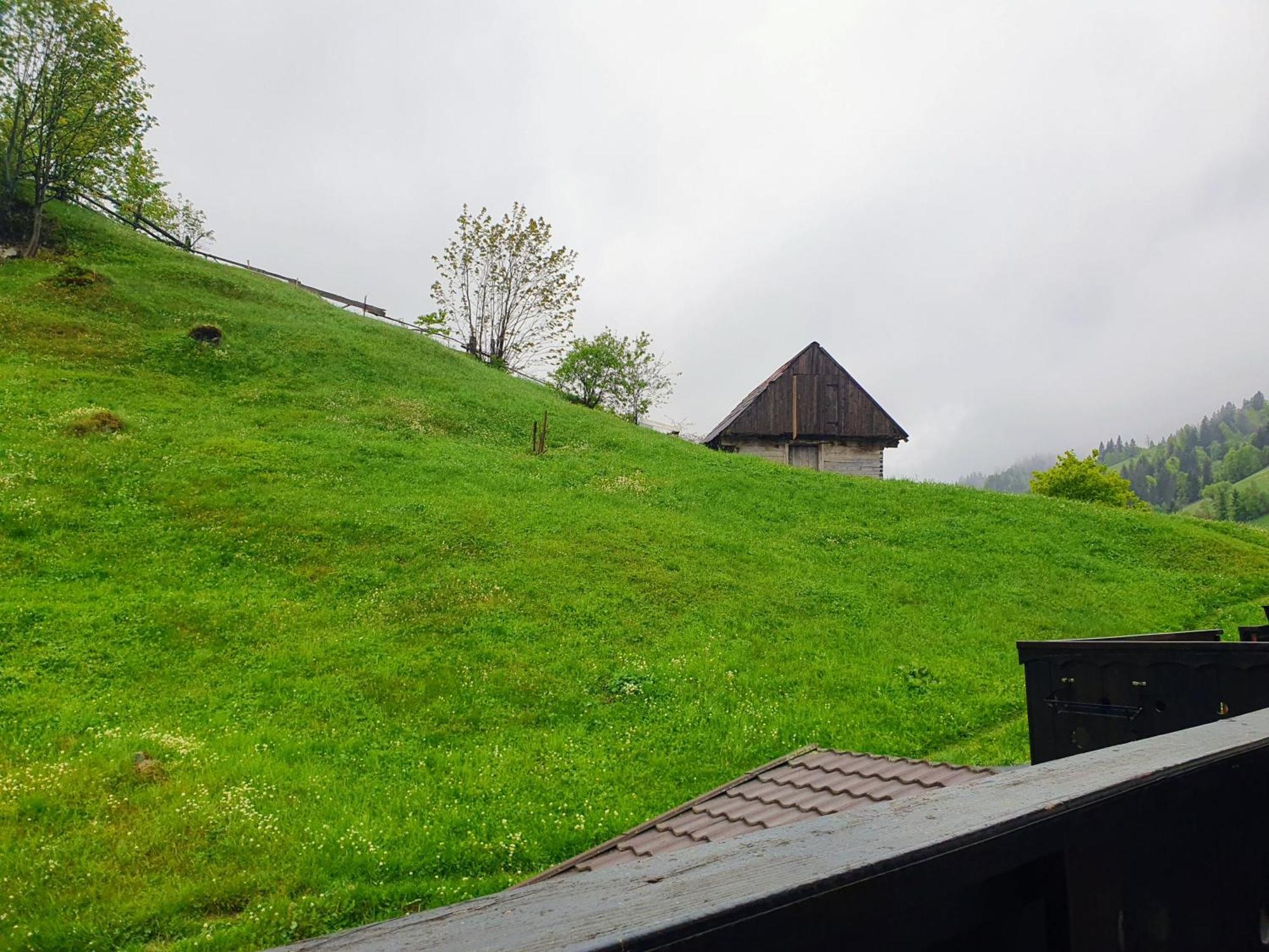 Carpatica 山林小屋 Moeciu de Sus