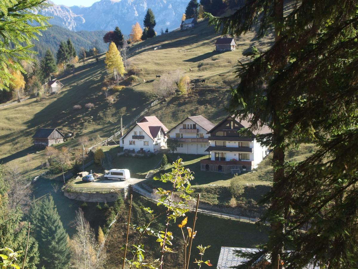 Carpatica Lodge *