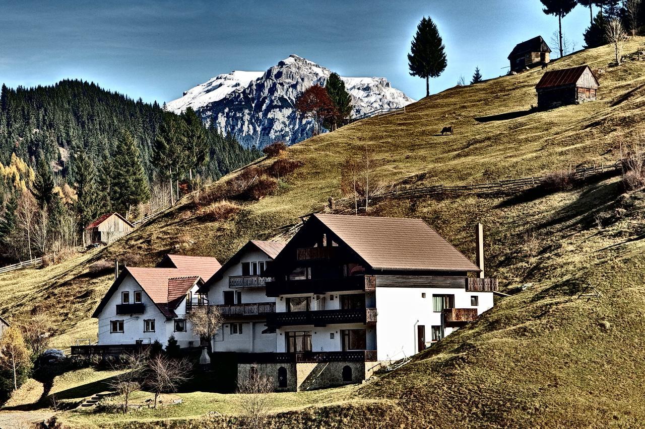 Carpatica Lodge *