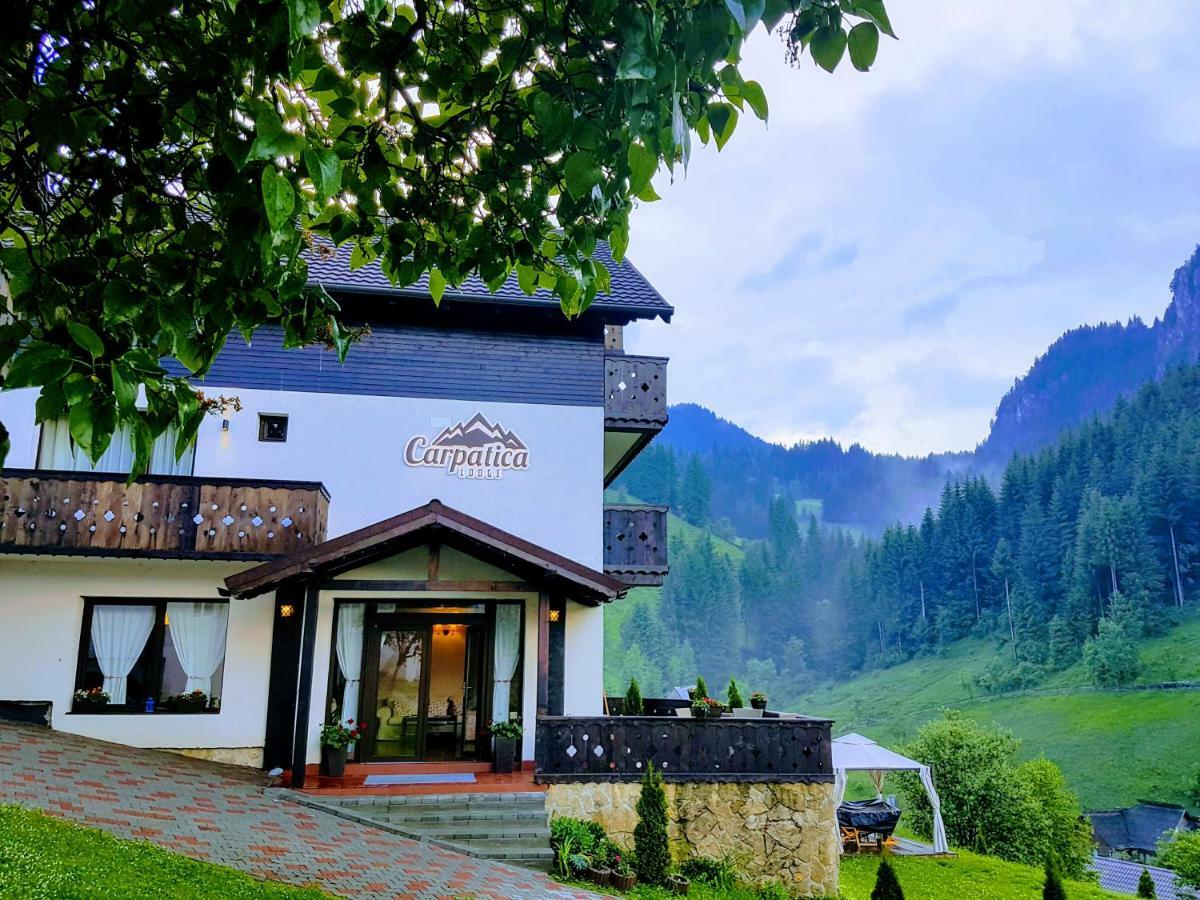 Lodge Carpatica